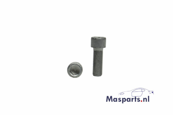 Maserati brake screw 14311734