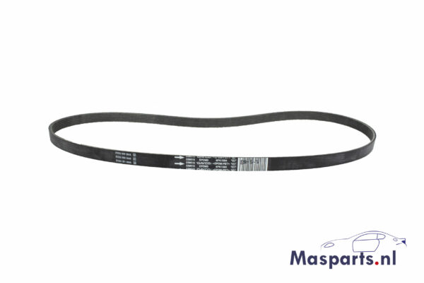 Maserati alternator belt 239616.
