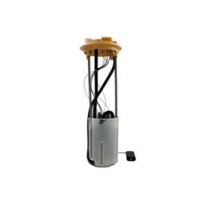 Ferrari RH Fuel Pump And Filter 181204